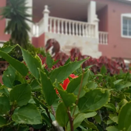 Beatifull Sea View In Pto Cruz Apartament