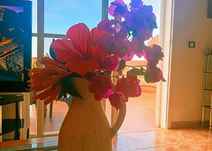 Beatifull Sea View In Pto Cruz * Puerto de la Cruz (Tenerife)