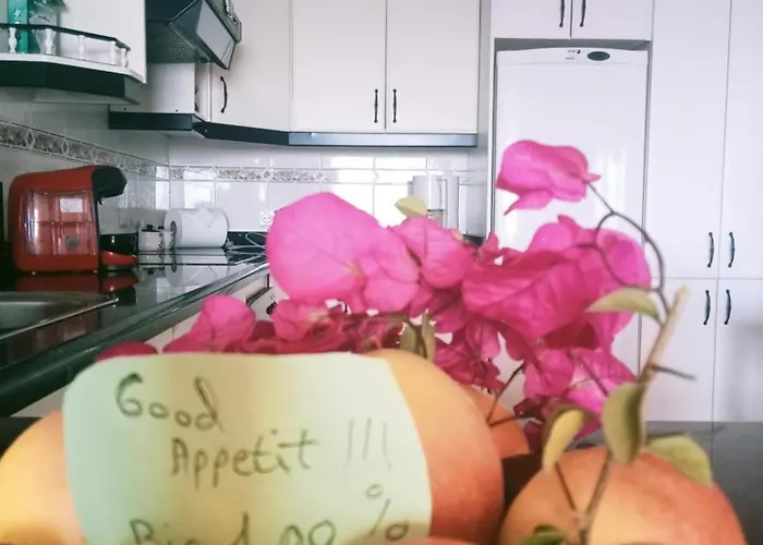 Beatifull Sea View In Pto Cruz *