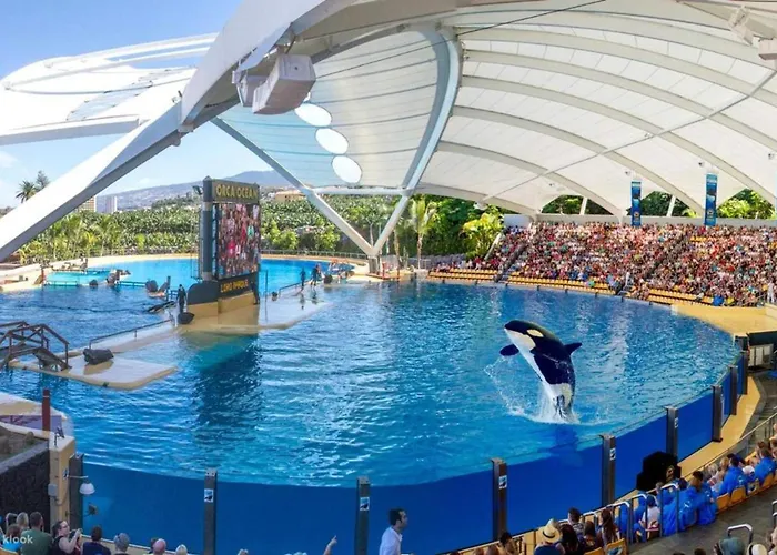 Daire Beatifull Sea View In Pto Cruz Puerto de la Cruz (Tenerife)