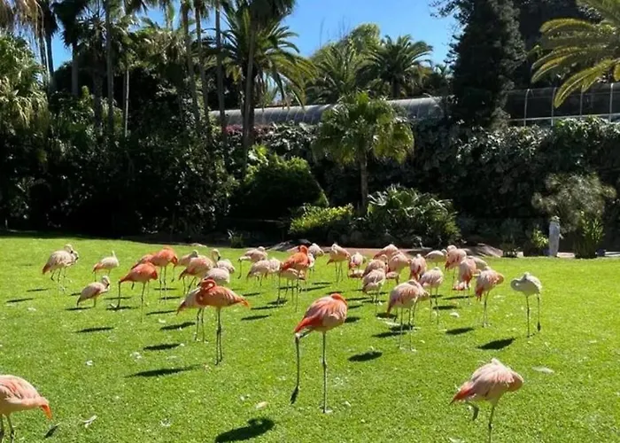 Beatifull Sea View In Pto Cruz * Puerto de la Cruz (Tenerife)