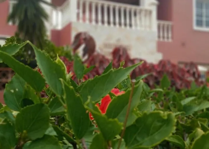 Beatifull Sea View In Pto Cruz Daire