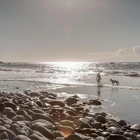 Beatifull Sea View In Pto Cruz
